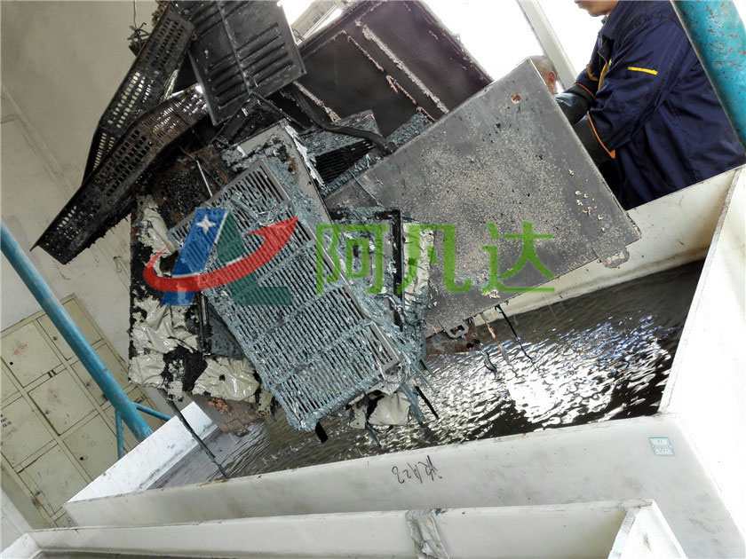 91免费短视频现场应用图片