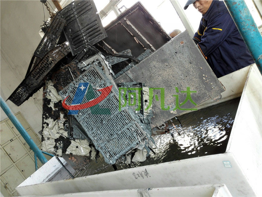 91免费短视频现场应用图片